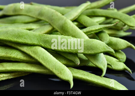 Haricots verts biologiques fraîchement cueillies Banque D'Images