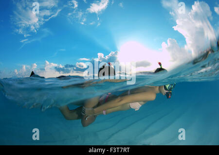 15 octobre 2014 - jeune beau couple flottant au-dessus d'un fond de sable, de l'Océan Indien, les Maldives © Andrey Nekrasov/ZUMA/ZUMAPRESS.com/Alamy fil Live News Banque D'Images