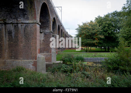 Pont de chemin de fer sur la rivière cann , Central Park, Chelmsford essex uk Banque D'Images