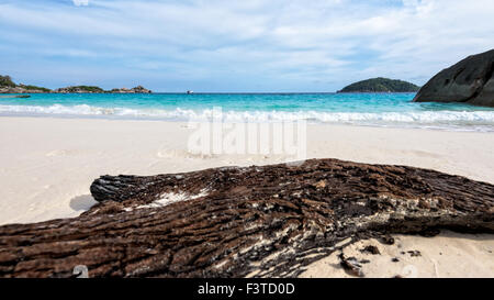 Vieux bois flotté bleu de la mer de sable blanc et des vagues sur la plage, belle nature au cours de l'été à l'île de Koh Miang dans Mu Ko Similan Banque D'Images