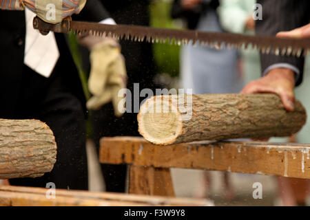 Scier un tronc Banque D'Images