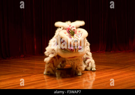 La danse du lion chinois traditionnel sur scène Banque D'Images