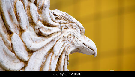 Le détail de l'aigle à tête staturay Banque D'Images