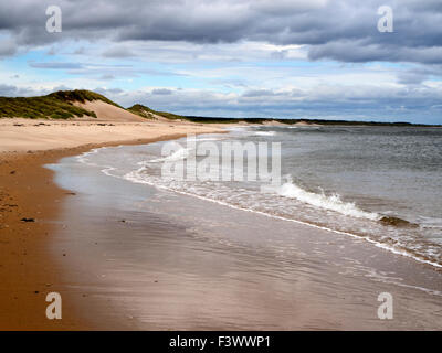 Dunes de sable et de marée à Druridge Bay près de flâner au bord de la mer sur la côte de Northumberland England Banque D'Images