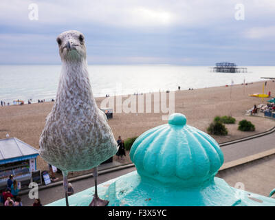 Une mouette juvénile sur le front de mer de Brighton, East Sussex, Angleterre. Banque D'Images