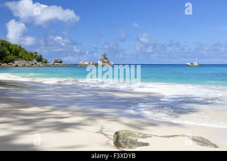 Plage de l'île tropicale Banque D'Images