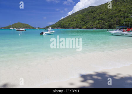 Plage de l'île tropicale Banque D'Images