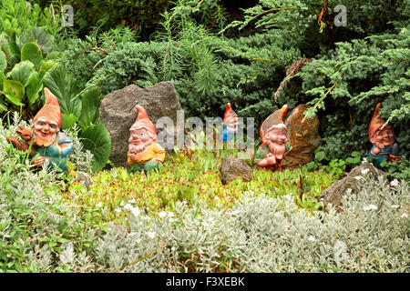 Nains de jardin Banque D'Images