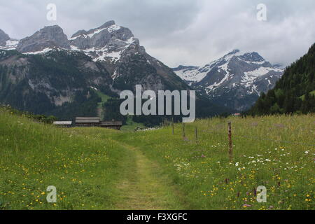 Paysages de Gsteig bei Gstaad Banque D'Images