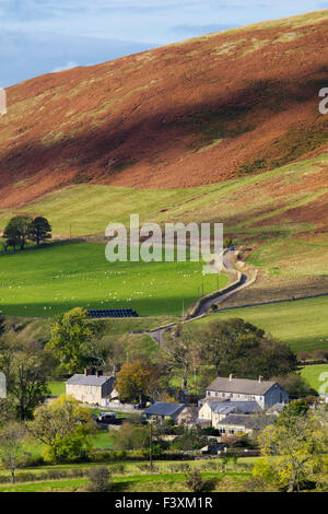 À l'ouest de la vallée vers le village Coquet de Alwinton, Northumberland, England Banque D'Images