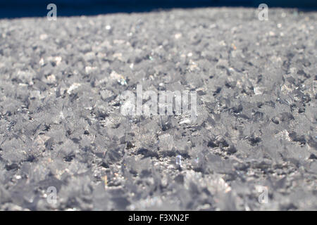 patrons sur glace Banque D'Images