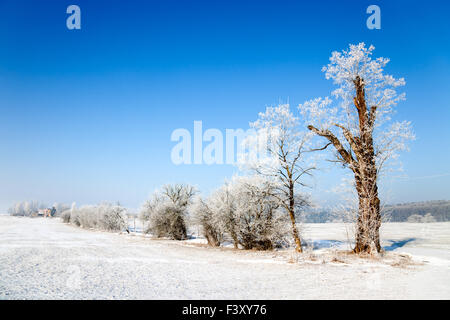 Paysage d'hiver Banque D'Images