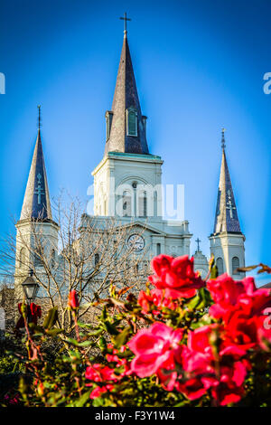 Premier plan spectaculaire des roses rouges devant les trois boutons du monument : la cathédrale Saint-Louis de Jackson Square à la Nouvelle-Orléans, LA, États-Unis Banque D'Images
