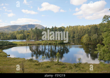 Tarn howes Banque D'Images