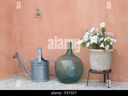 Jardin nature morte Banque D'Images