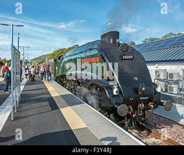 Type A4 machine à vapeur 60009 Union d'Afrique du Sud, à la plate-forme en Tweedbank Ecosse Scottish Borders Banque D'Images