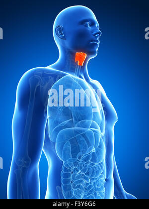 Rendu 3d illustration de l'homme du larynx Banque D'Images