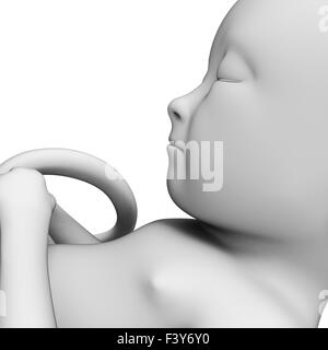 Rendu 3d illustration d'un foetus Banque D'Images