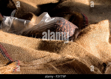 Cacao en fèves en plastique dans le sac de jute sacs-sur Banque D'Images