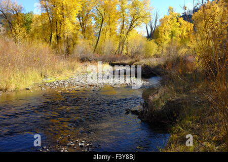 Couleurs d'automne sur Squaw Creek, New York Banque D'Images