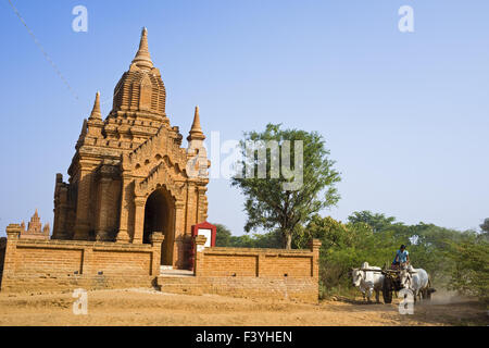 Oxcart avec des ragots, Bagan, Myanmar, en Asie Banque D'Images