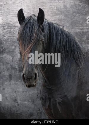 Frison Banque D'Images