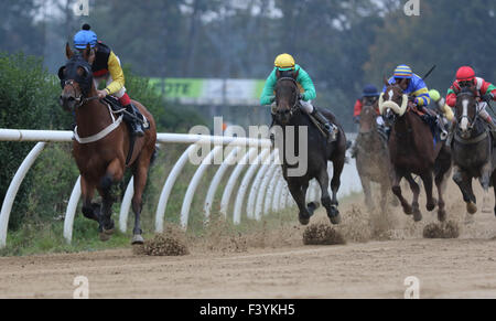 Neuss, Allemagne. 13 Oct, 2015. Neusser Reiter und Rennverein 1825. 41460 Neuss, Allemagne. 13 octobre 2015. Nuit de course à Neuss, apporté par l'allemand au galop. 7 Les courses de plat, tout au long de la soirée, sur le chemin de terre. La race 2. Le premier et le dernier virage. Credit : Ashley Greb/Alamy Live News Banque D'Images