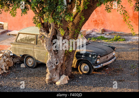 Vieille voiture under tree Banque D'Images