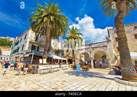 Ville de Hvar promenade palm Banque D'Images