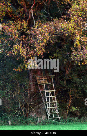 Deerstand, Bavière, Allemagne Banque D'Images