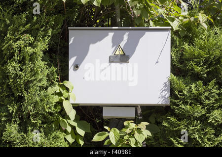 Boîtier électrique dans le bois Banque D'Images