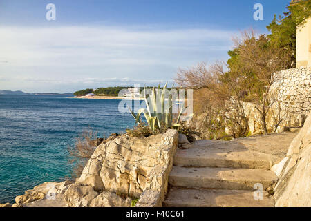 Par la mer d'agave Primosten Banque D'Images