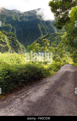 La nature tropicale. Tahiti. Polynésie française. Banque D'Images