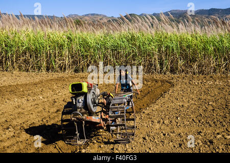 Garçon avec deux roues tracteur, Myanmar Banque D'Images