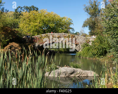 L'étang et Gapstow Bridge dans Central Park, NYC Banque D'Images