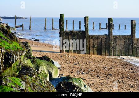 Épi en bois sur la plage d'Essex Banque D'Images