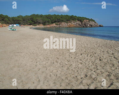 La plage de Cala Nova, Ibiza Banque D'Images