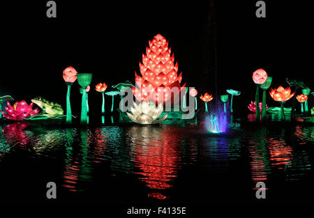 Londres, Royaume-Uni. 12Th Nov, 2014. Photo prise le 12 novembre 2014 montre en forme de fleur à la cérémonie d'illumination lanternes pour le Festival chinois de la lumière dans de Longleat Wiltshire, Angleterre. Le président chinois Xi Jinping effectuera une visite d'Etat en Grande-Bretagne du 19 au 23 octobre. © Han Yan/Xinhua/Alamy Live News Banque D'Images
