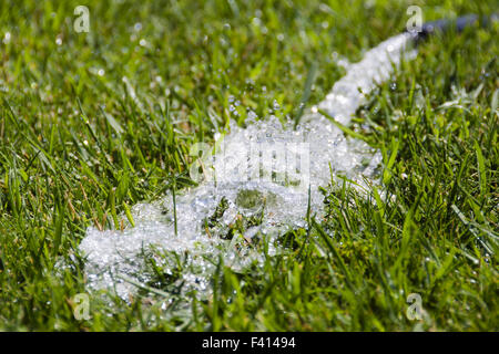 L'eau de la durit sur l'herbe Banque D'Images