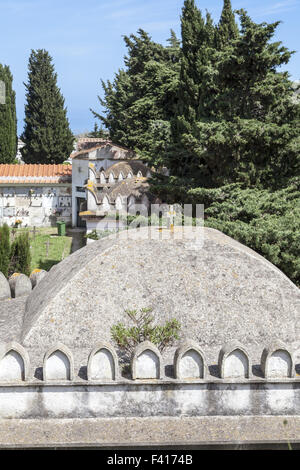 Rio nell'Elba, cimetière, l'île d'Elbe, Toscane, Italie Banque D'Images