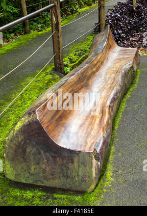 Banc en bois sculpté à la main, Hawai'i Tropical Botanical Garden Nature Preserve ; Big Island, Hawaii, USA Banque D'Images