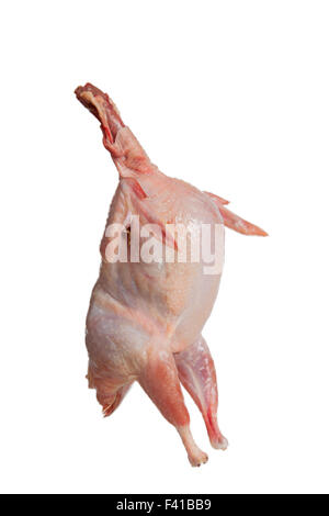 Partridge fresh bird isolated on white Banque D'Images