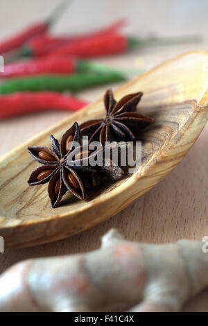 Les épices, l'anis étoilé sur une cuillère en bois Banque D'Images