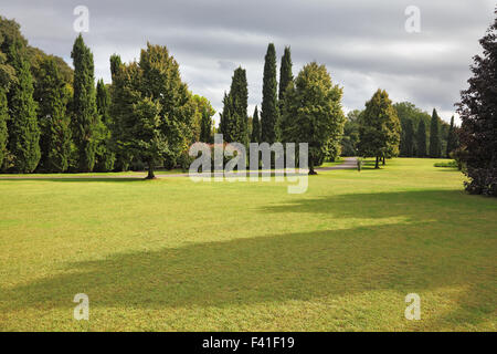 Grand champ jauni dans park Sigurta Banque D'Images