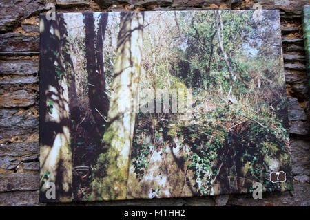 Les jardins perdus de Heligan, Cornwall, Angleterre, Royaume-Uni. Banque D'Images