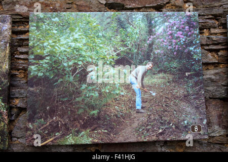 Les jardins perdus de Heligan, Cornwall, Angleterre, Royaume-Uni. Banque D'Images