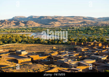 Oasis en Vallée du Dadès, Ouarzazate, Maroc Banque D'Images