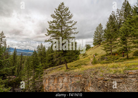 Vue sur le Canyon Maligne situé dans le parc national Jasper, Rocheuses, en Alberta, au Canada, en Amérique du Nord. Banque D'Images