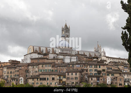 La Cathédrale de Sienne, Santa Maria Assunta, Italie Banque D'Images