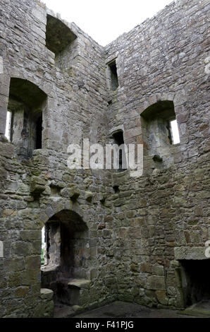 Le Château de Loch Leven, sur une île près de Kinross en Ecosse centrale. Banque D'Images